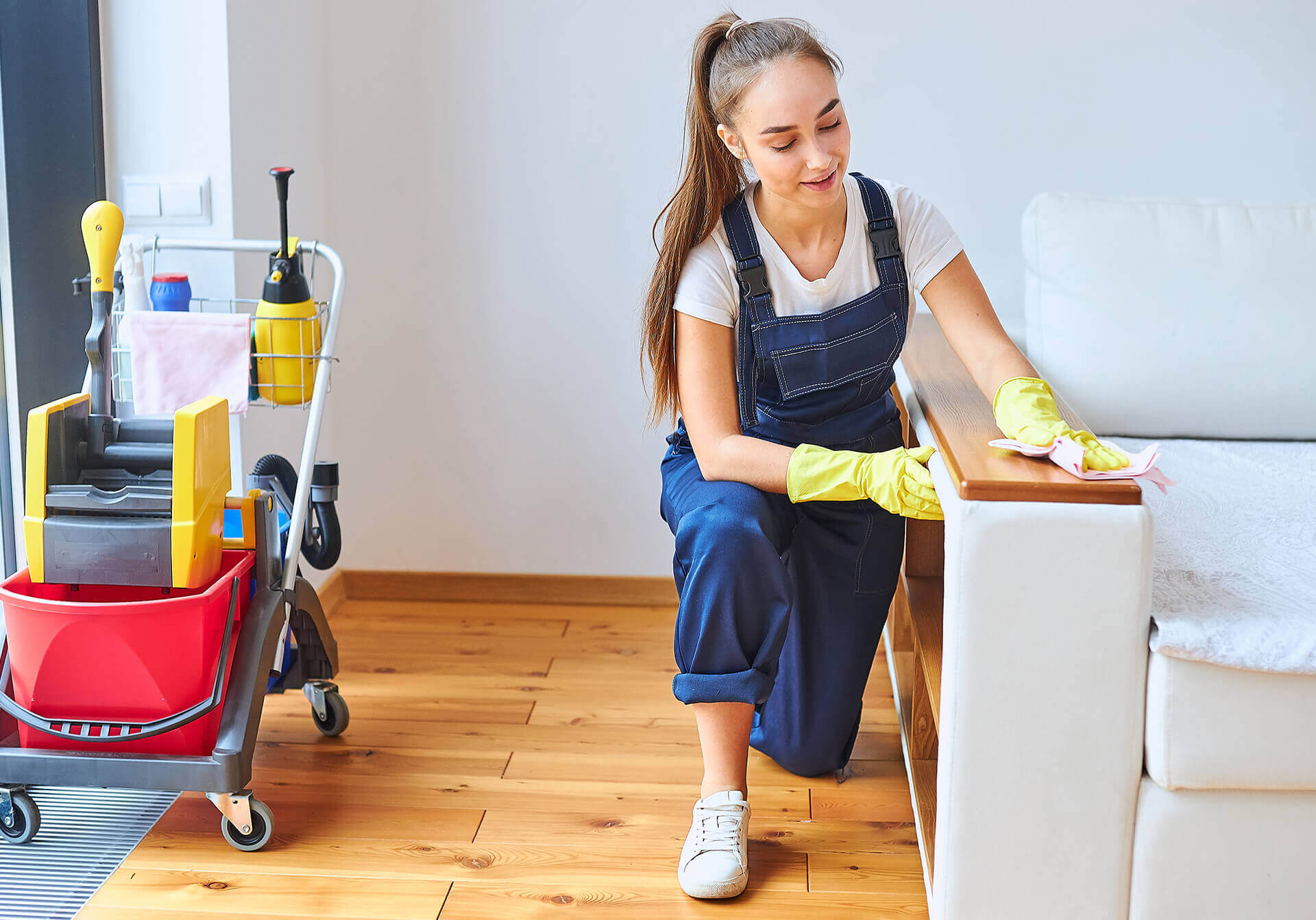 Get clean energy team clean  home and office!